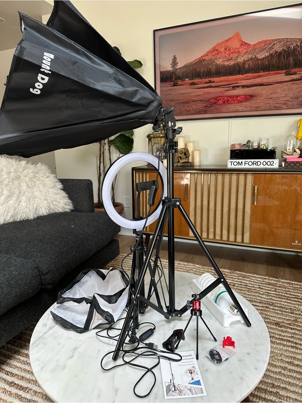 Photography Light Kit with Ring Light and Softbox - Black